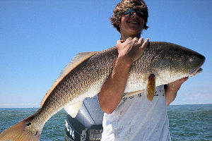 Young angler holding a giant Red Drum caught at Hatteras Inlet.