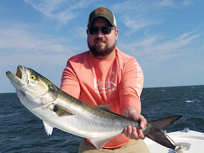 Outer Banks angler holding nice big Bluefish.