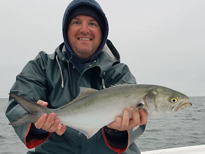 Angler holding nice bluefish.