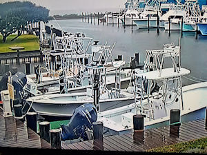 Teach's Lair Live Webcam.