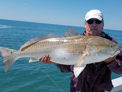 Hatteras angler holding fish for Pamlico Sound fishing reports page.